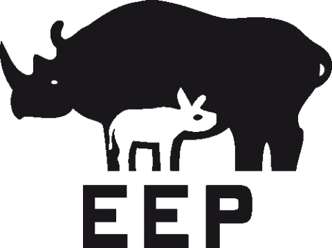 European Zoos Keep Approximately 6500 Animal Species - Breeding Programmes For Endangered Species (480x359)