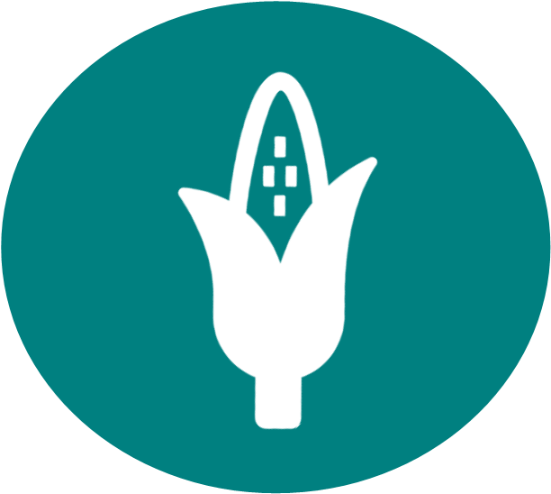 Community Garden - United Methodist Church (612x548)