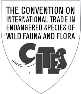 Design And Nature Is Supervised By The Washington Convention - Evolution Of Cites: A Reference Na And Flora (345x358)