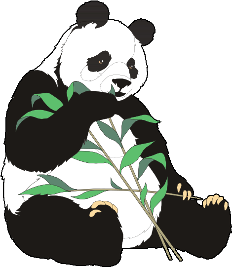 1000 Images About Panda Cuties ♥✳♥ On Pinterest - Diagram Of Panda (496x562)