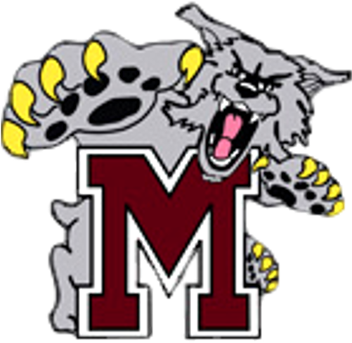 School Logo Image - Mechanicsburg (500x500)