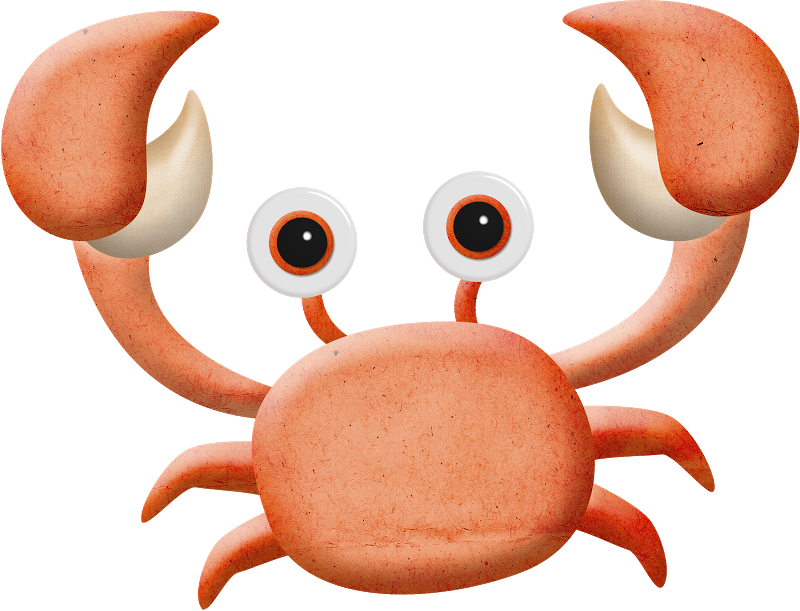 Ocean Themes, Safari, Clip Art, Sea Creatures, Anita, - Freshwater Crab (800x611)