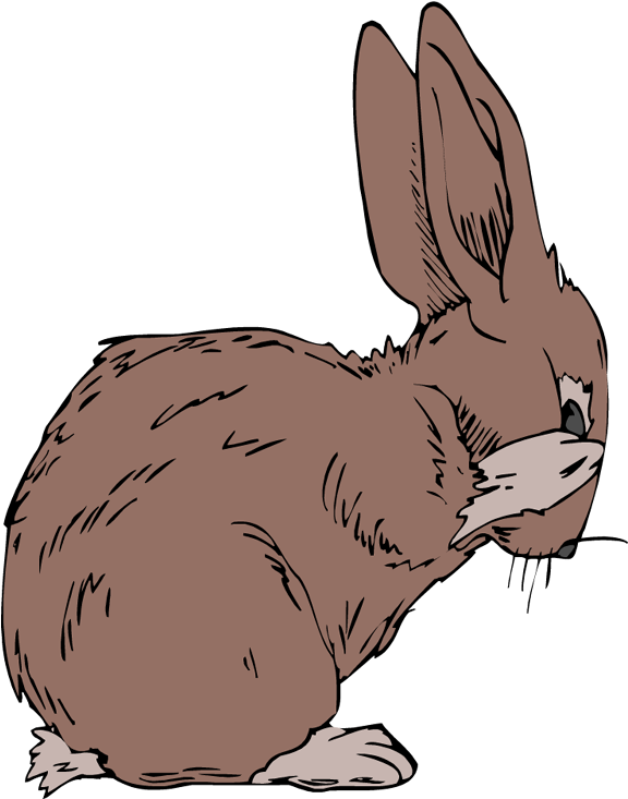 Jack Rabbit Clipart Wild Rabbit - Rabbit (585x750)