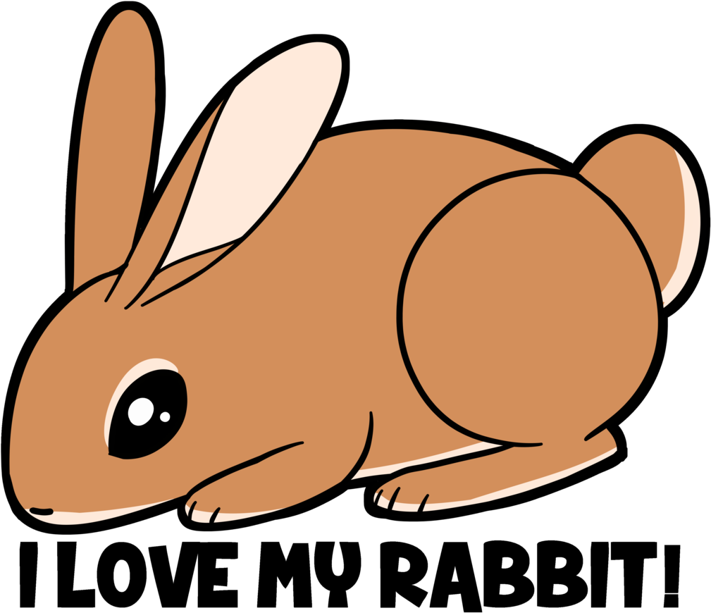 I Love My Rabbit By Draikinator - I Love My Rabbit By Draikinator (1023x889)