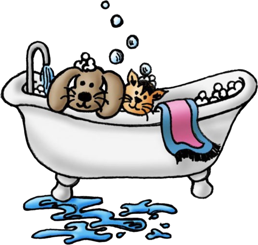 Untitled-2 - Dog Grooming Supplies Clipart (998x948)