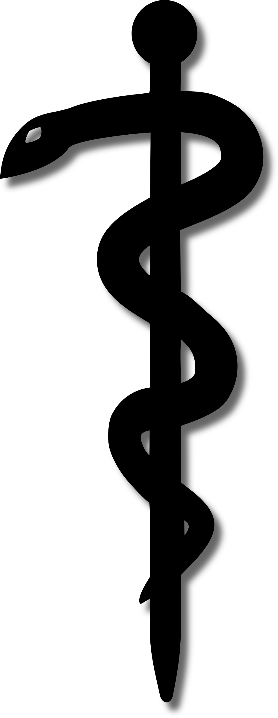 Big Image - Aesculap Staff (958x1355)