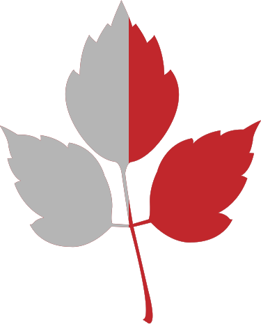 Month Second Half - Flag (375x469)