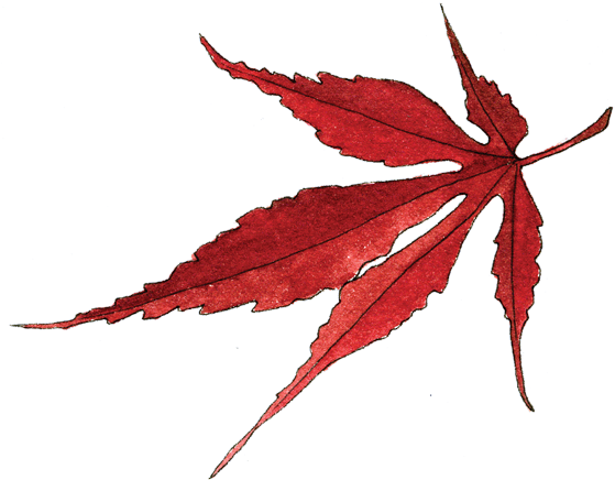 Japanese Designs Png Transparent - Portable Network Graphics (560x442)