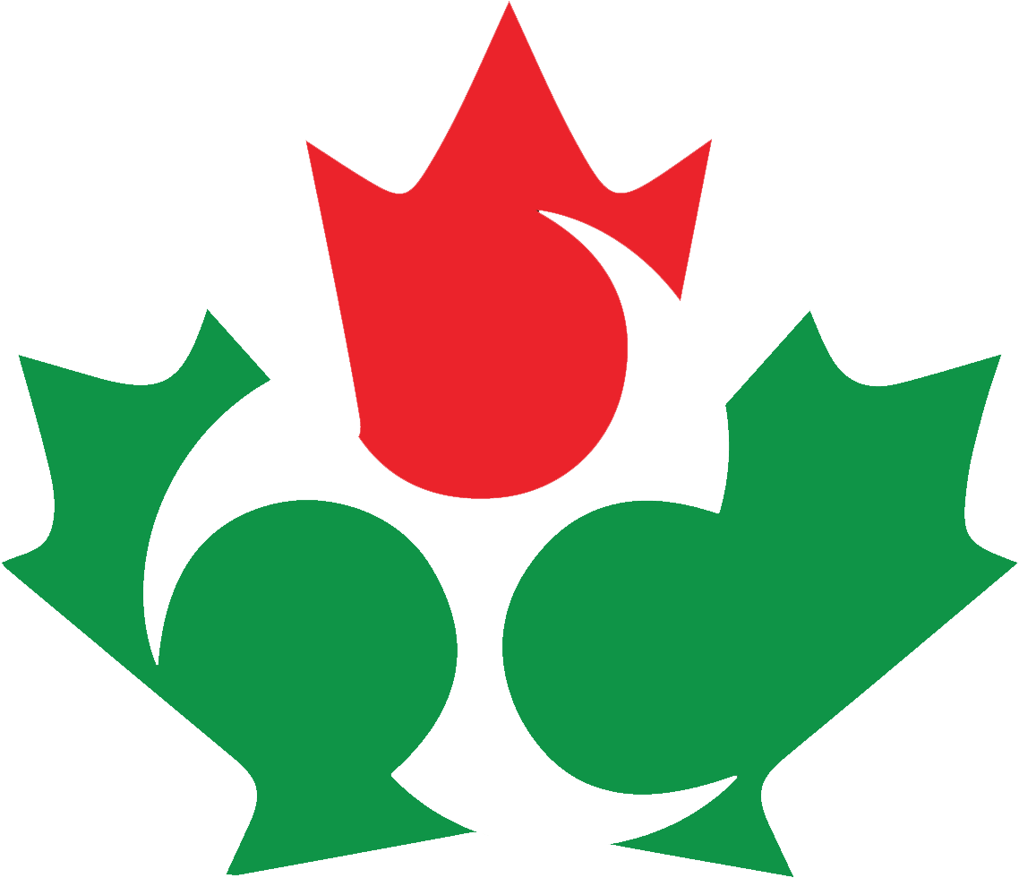 Gallery - Canadian Flag (1210x1113)