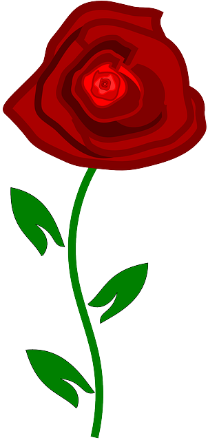 Rose, Red, Nature, Plant - Rose (320x640)