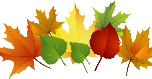 This Week The Children Continued To Explore The Season - Autumn Leaves Clip Art (630x350)
