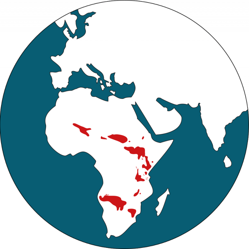 Distribution Map - - Voyage De Candide Carte (800x798)