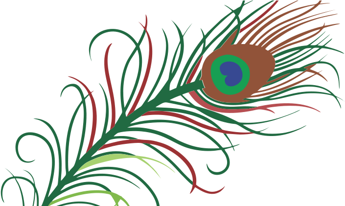 Transparent Background Peacock Feather (800x420)