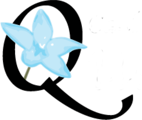 Quaker Cliparts - Moth Orchid (466x392)