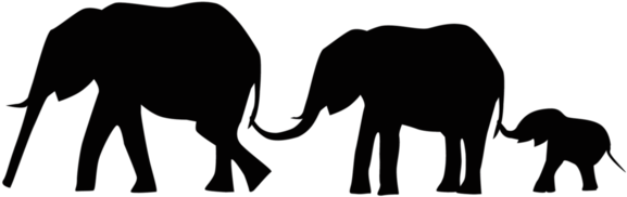 Bleed Area May Not Be Visible - 3 Elephants Holding Tails (600x450)