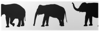 African Elephant (400x400)