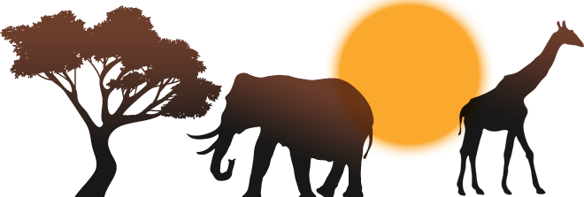 Elephant And Giraffe On The African Savannah At Sunset - Africa (660x223)