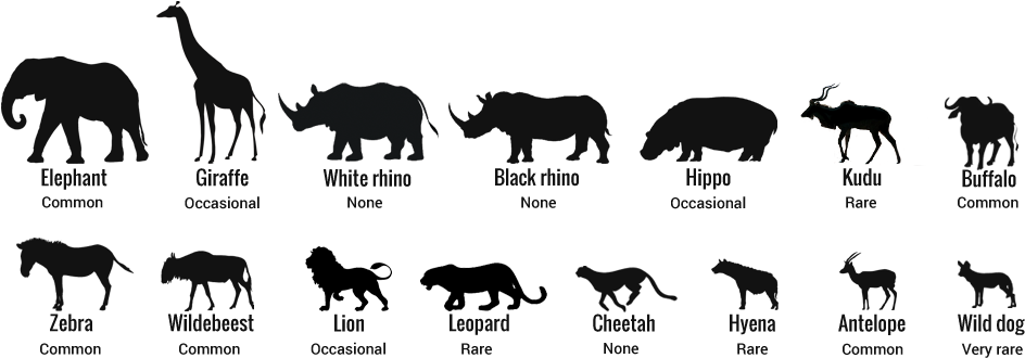 Just You And The Nature - Lion Silhouette (975x355)