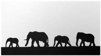 African Elephant (400x400)
