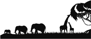 Bring Your Wall To Life Without Having To Paint It - Silhouette (400x300)