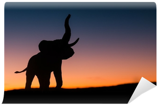 African Elephant (400x400)