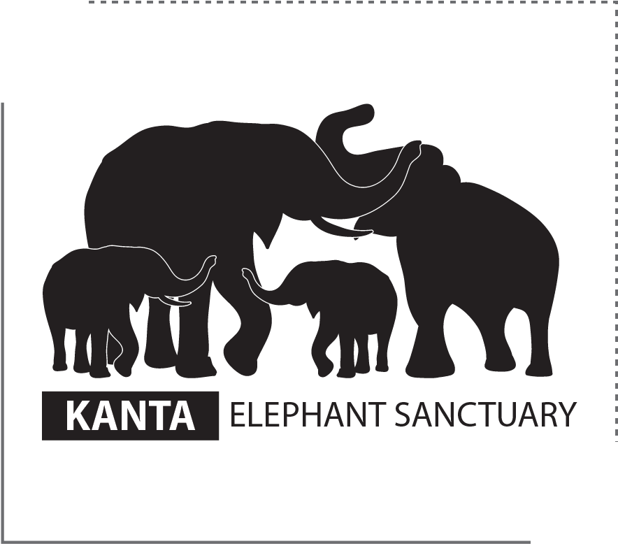 The Right Questions - Charity Shop (988x892)