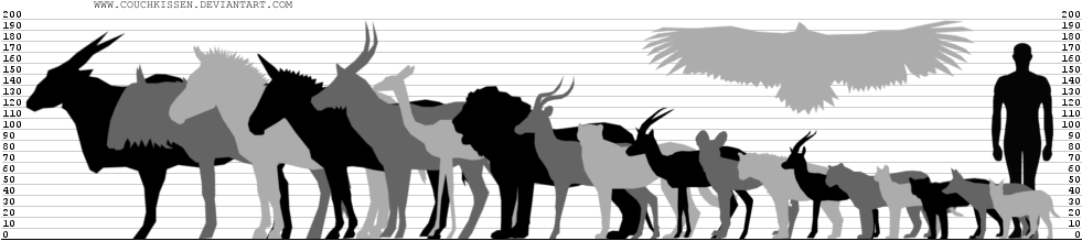 African Wild Life By Couchkissen - Antelope Size Comparison (1000x240)