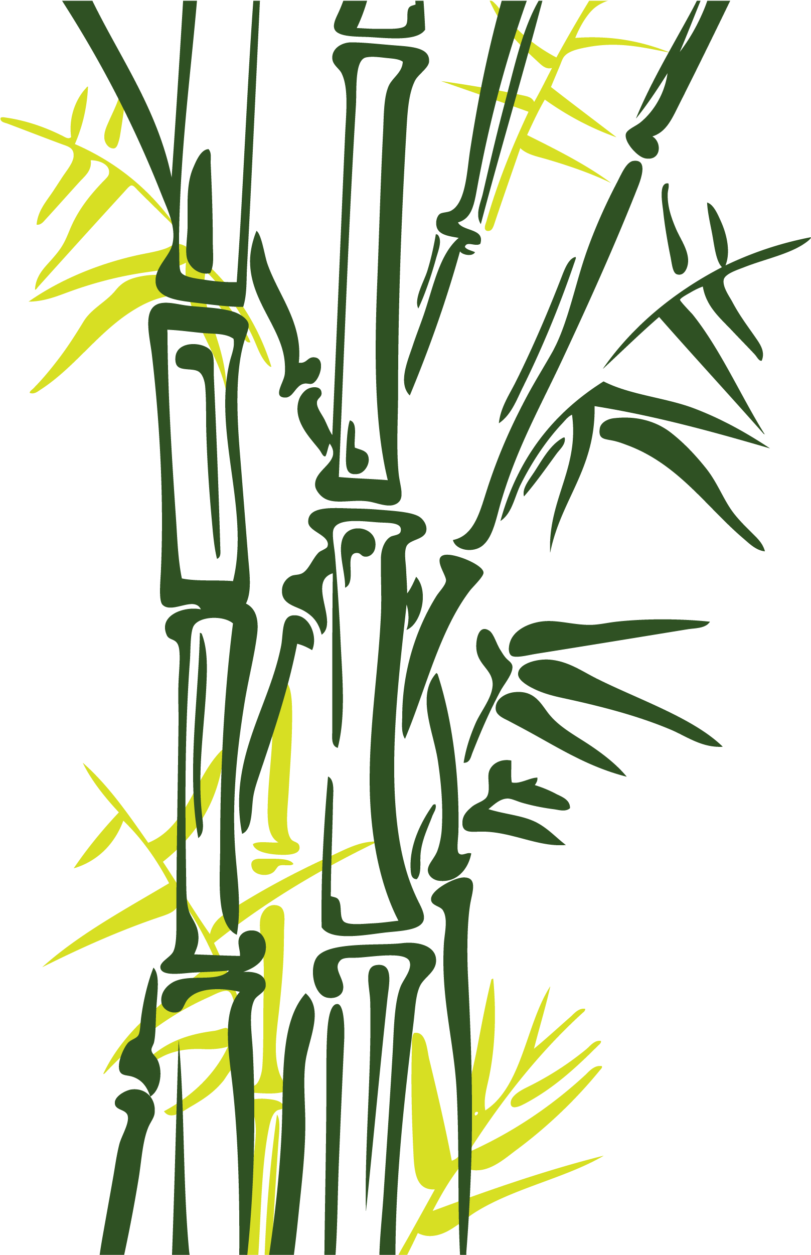 Bamboo Euclidean Vector Painting Illustration - Spa Sin Derecho De Autor (1616x3371)