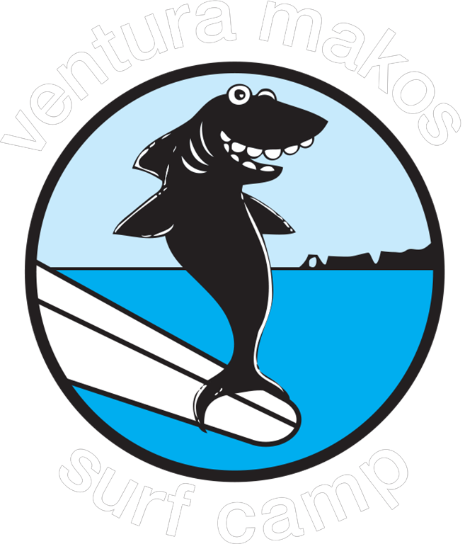 Vm Shark Art - Surf Classes Cartoon (657x768)