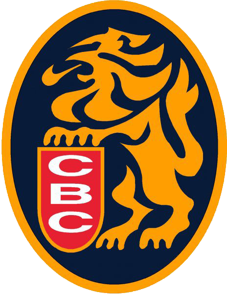 Logo Leones De Caracas - Leones Del Caracas (464x604)
