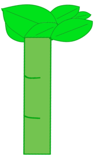 Bamboo Asset - Bamboo (305x507)