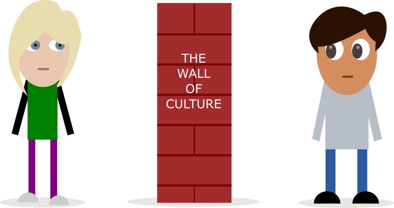 Relationship With Indian 12 - Cartoon (800x422)