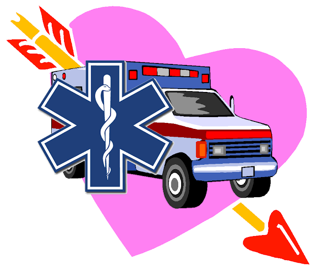 Ems Heroes And Love Of The Job - Star Of Life (640x547)