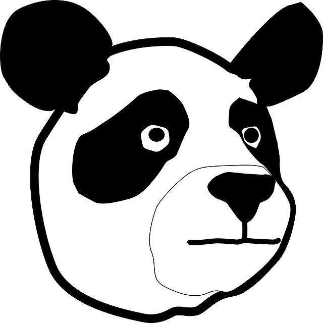 Face, Cartoon, Bear, Cute, Panda, Detail, Pandas - Panda Bear Head (640x640)