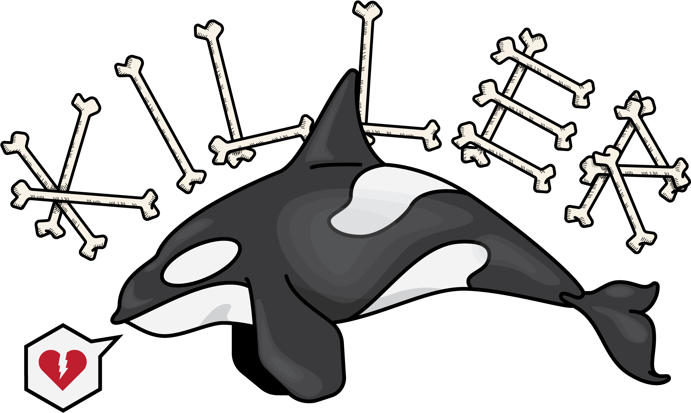 Killer Whale (2376x1584)