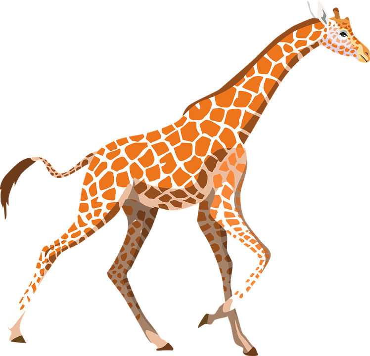 Zoo Animal Clipart 12, - Giraffe Clipart Pixabay (748x720)