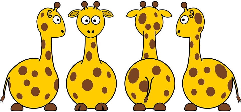 Zoo Animals Clipart 23, Buy Clip Art - Front And Back Animals (960x480)