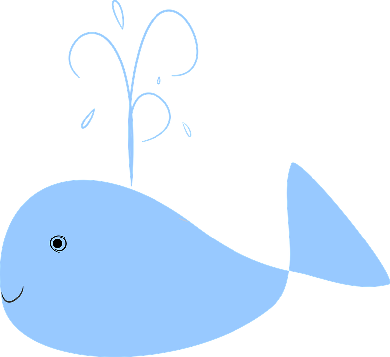Water Cartoon 11, Buy Clip Art - Cartoon Whale (785x720)