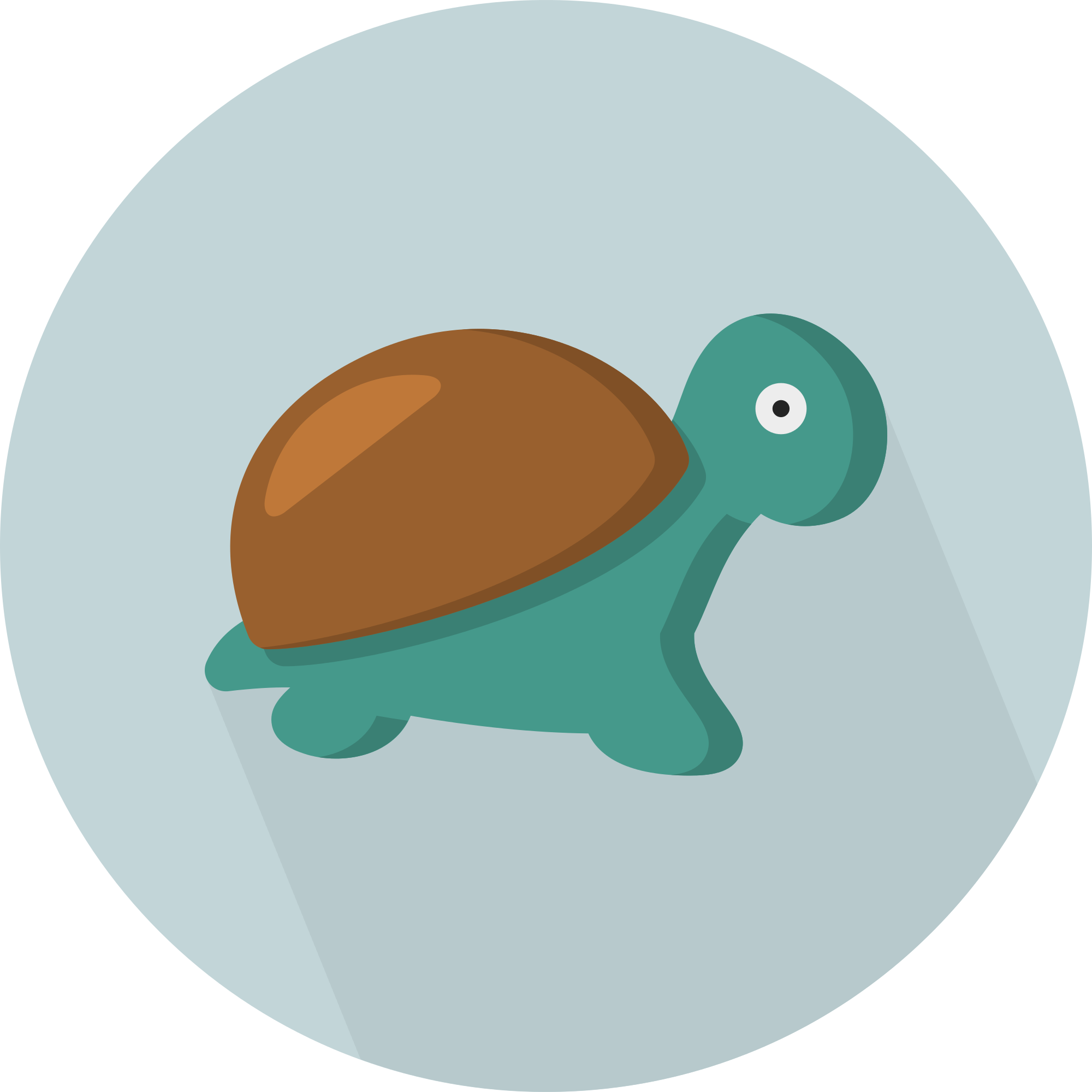 Pictures Of A Cartoon Turtle 28, Buy Clip Art - Turtle Flat Icon Png (2000x2000)