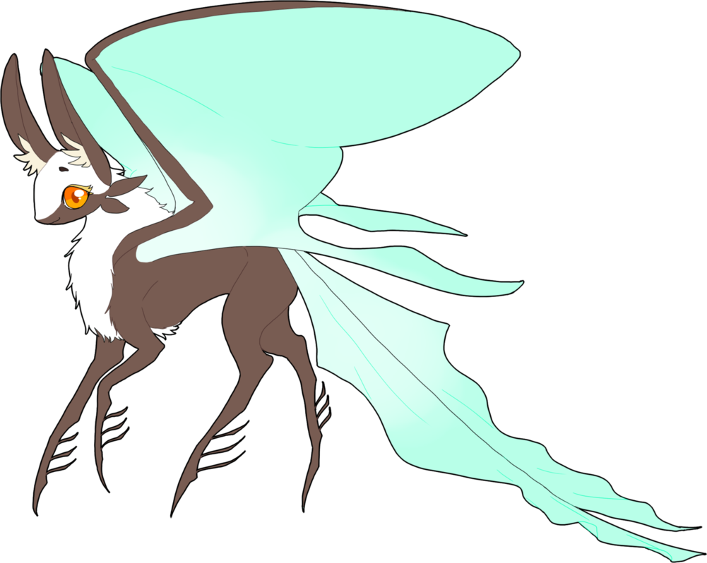 Japanese Moon Moth By Bmginn - Drawing (1001x798)