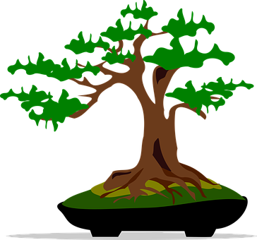 Bonsai, Clip Art, Flora, Nature, Plant - Bonsai Clip Art (364x340)