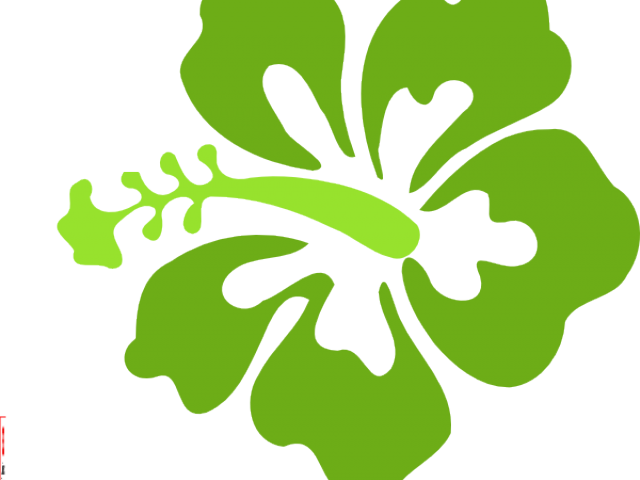 Hibiscus Clipart Green - Hibiscus Clip Art (640x480)
