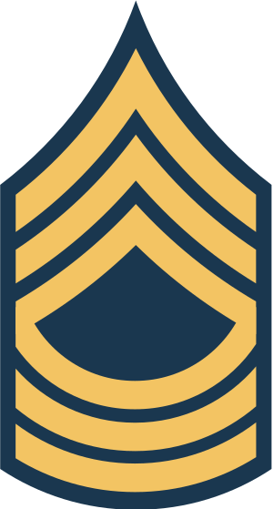 Army Master Sergeant Rank (300x559)