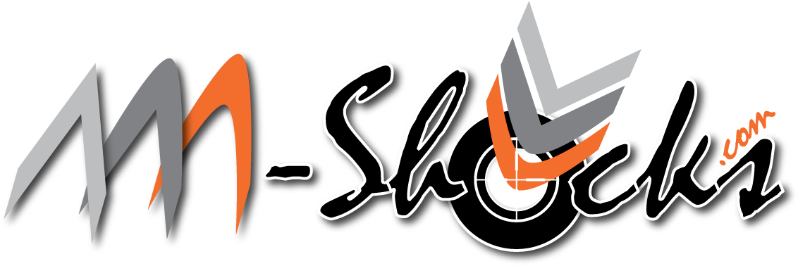 Portable Network Grafik Format - Aaa Shocks (1138x379)