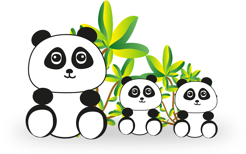 Baby Panda Cliparts 24, - Obsessive Panda Disorder Funny Panda Lover T-shirt (960x534)