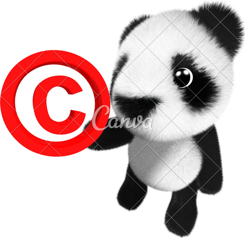 3d Funny Cartoon Baby Panda - Giant Panda (800x785)