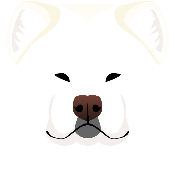 Male Japanese Akita Head - White (665x685)