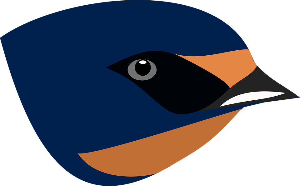 Download Png Image Report - Swallow Beak Clipart (1125x750)