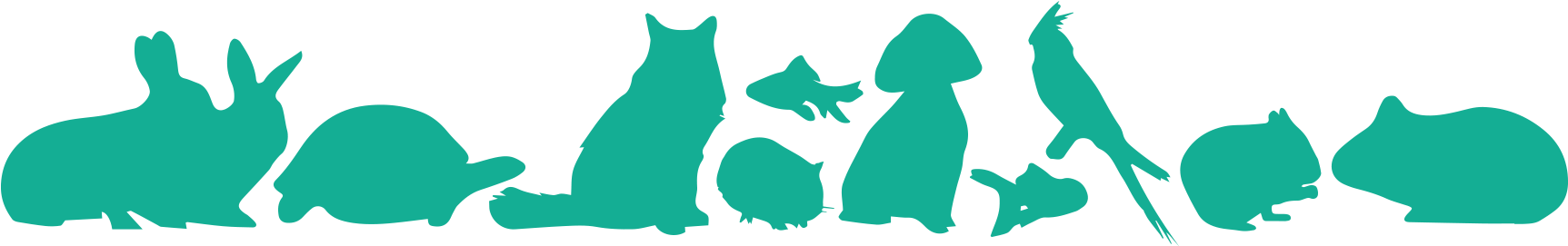 Friendly Pet Nurse Services In Sussex & Surrey - Friendly Pet Nurse Services In Sussex & Surrey (1742x270)