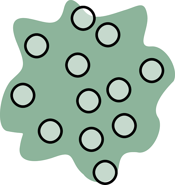 Azalea Sign, Map, Symbol, Signs, Symbols, Azalea - Sign (607x640)